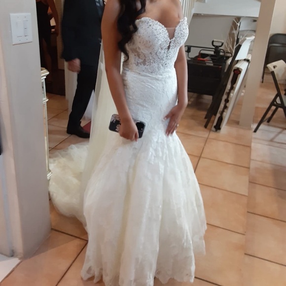 Pronovias Imelda Wedding Gown - Picture 12 of 16